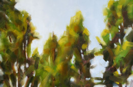 Luminous