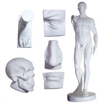 Drawing Casts