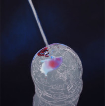 Candy Apple #2 :: WIP