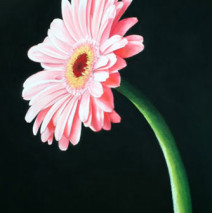 Art Prints :: Gallery Wrapped Canvas