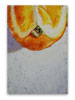Orange 01